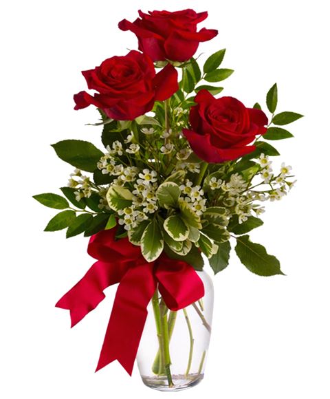 3 Rose Rosse A Udine Consegna A Domicilio In Giornata