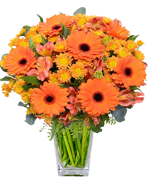 Bouquet gerbere