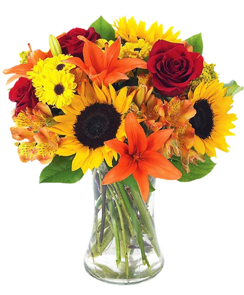 Bouquet solare