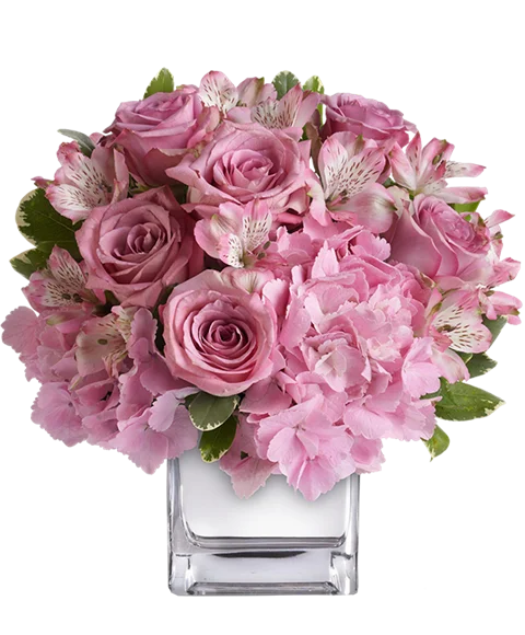 Composizione rosa