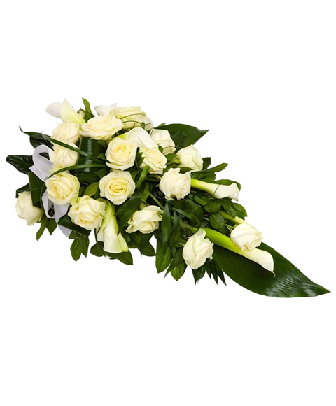 Composizione elegante