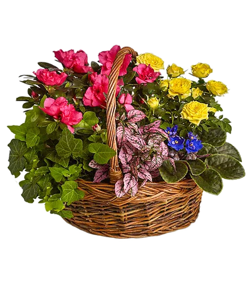 Cestino primaverile