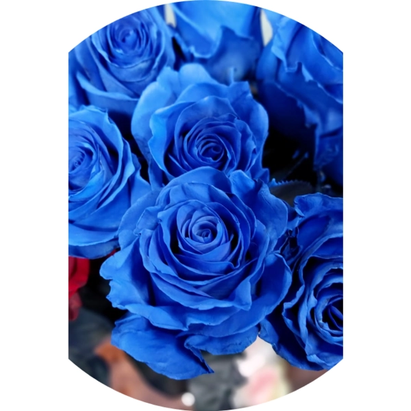 Dyed Blue